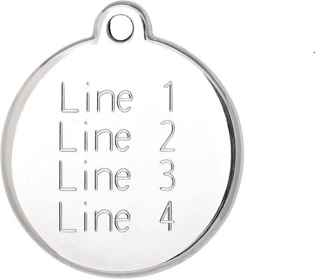 Show full view: Red Dingo Lightning Bolt Stainless Steel Personalized Dog & Cat ID Tag, Hot Pink, Medium slide 3 of 7