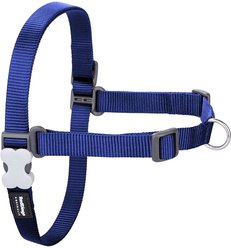 Red Dingo No Pull Dog Harness, Blue, Medium/Large