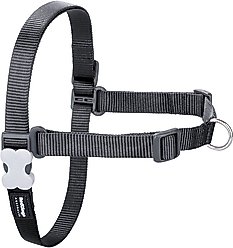 Red Dingo No Pull Dog Harness, Grey, Small/Medium