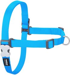 Red Dingo No Pull Dog Harness, Turquoise, Small