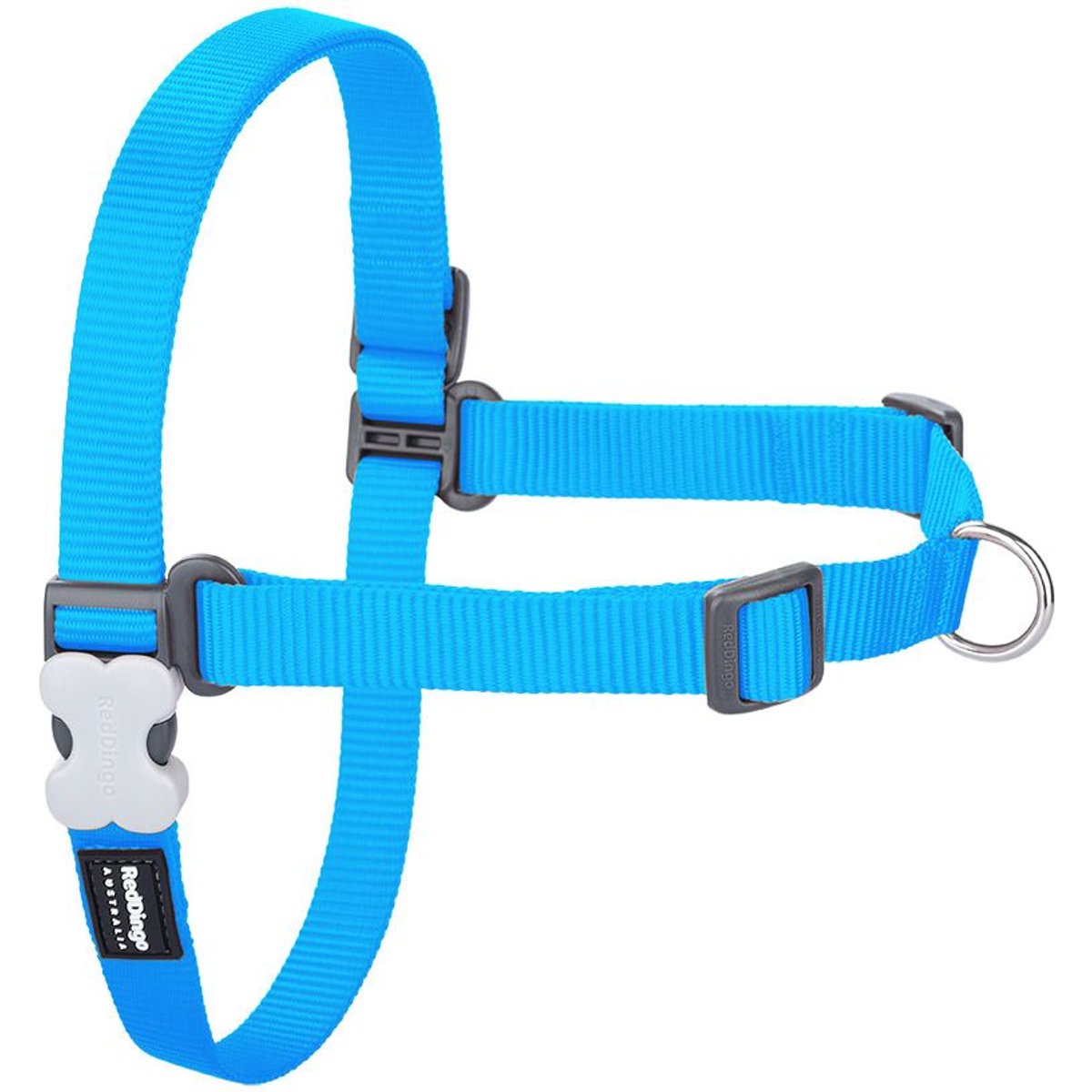 Red Dingo No Pull Dog Harness, Turquoise, Small