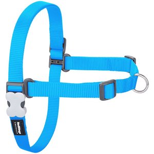 Red Dingo No Pull Dog Harness, Turquoise, Small/Medium