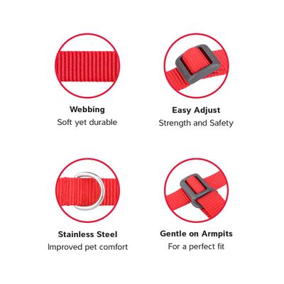 Show full view: Red Dingo No Pull Dog Harness, Turquoise, X-Small slide 3 of 7