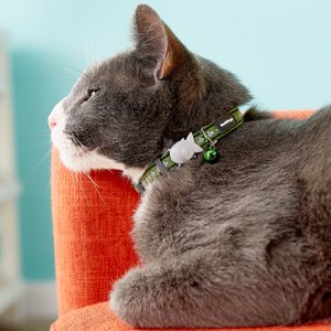 Red Dingo Nylon Reflective Breakaway Cat Collar with Bell, Green, 8 to 12.5-in neck, 1/2-in wide