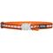 Show in main carousel: Red Dingo Nylon Reflective Breakaway Cat Collar with Bell, Orange, 8 to 12.5-in neck, 1/2-in wide slide 2 of 10