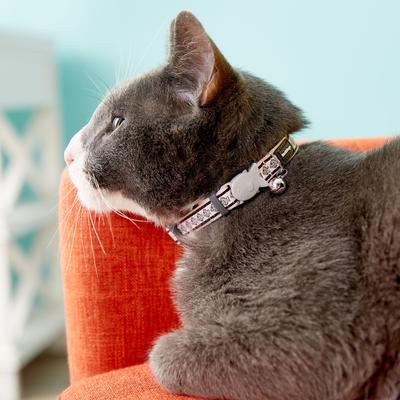 Show full view: Red Dingo Nylon Reflective Breakaway Cat Collar with Bell, Pink, 8 to 12.5-in neck, 1/2-in wide slide 7 of 10
