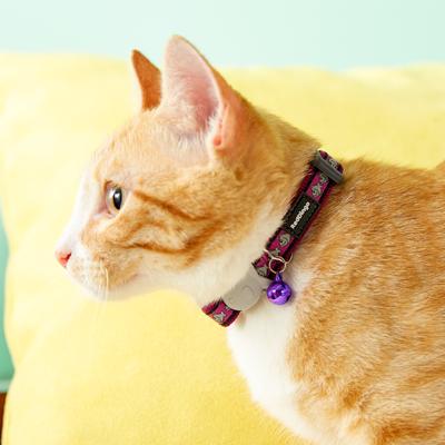 Show full view: Red Dingo Nylon Reflective Breakaway Cat Collar with Bell, Purple, 8 to 12.5-in neck, 1/2-in wide slide 8 of 11