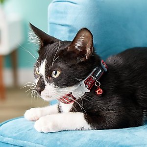 Red Dingo Nylon Reflective Breakaway Cat Collar with Bell, Red, 8 to 12.5-in neck, 1/2-in wide