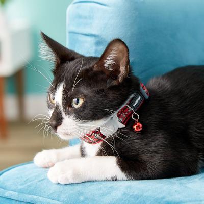 Show full view: Red Dingo Nylon Reflective Breakaway Cat Collar with Bell, Red, 8 to 12.5-in neck, 1/2-in wide slide 3 of 10