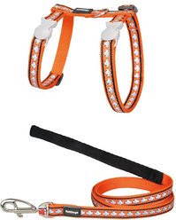 Red Dingo Nylon Reflective Fish Cat Harness & Leash, 10.6 to 18.9-in chest, Orange