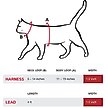 Show in main carousel: Red Dingo Nylon Reflective Fish Cat Harness & Leash, 10.6 to 18.9-in chest, Pink slide 4 of 4