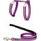 Show in main carousel: Red Dingo Nylon Reflective Fish Cat Harness & Leash, 10.6 to 18.9-in chest, Purple slide 1 of 4