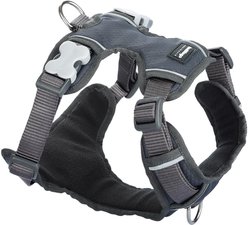 Red Dingo Padded Dog Harness, Grey, Small