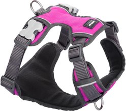 Red Dingo Padded Dog Harness, Hot Pink, Small