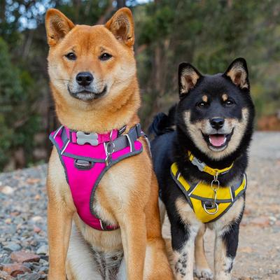 Show full view: Red Dingo Padded Dog Harness, Hot Pink, Small slide 3 of 8