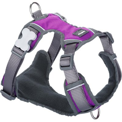 Red Dingo Red Dingo Padded Dog Harness, Purple, Small