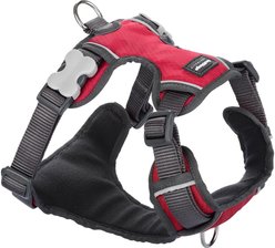 Red Dingo Padded Dog Harness, Red, Medium
