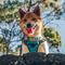 Show in main carousel: Red Dingo Padded Dog Harness, Turquoise, Extra Large slide 2 of 7