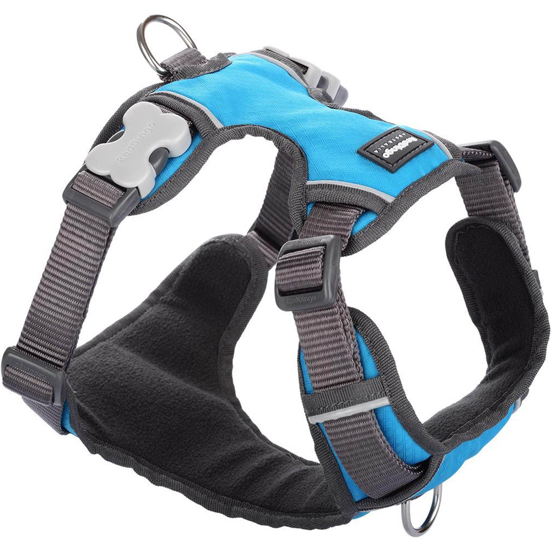Red Dingo Padded Dog Harness, Turquoise, Large