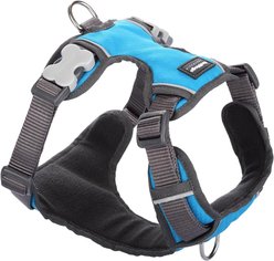 Red Dingo Padded Dog Harness, Turquoise, Medium