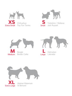 Show full view: Red Dingo Padded Dog Harness, Yellow, X-Large slide 6 of 8