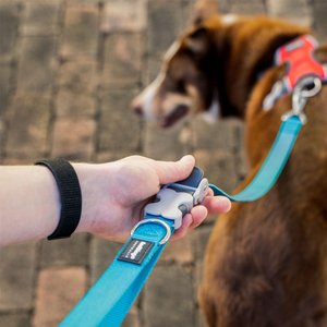 Red Dingo SuperLead Hands Free Adjustable Dog Leash, Black, Small, 3.6 to 6-ft