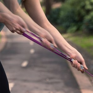 Red Dingo SuperLead Hands Free Adjustable Dog Leash, Black, Small, 3.6 to 6-ft