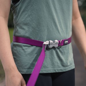 Red Dingo SuperLead Hands Free Adjustable Dog Leash, Black, Small, 3.6 to 6-ft