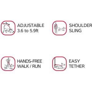 Red Dingo SuperLead Hands Free Adjustable Dog Leash, Black, Small, 3.6 to 6-ft