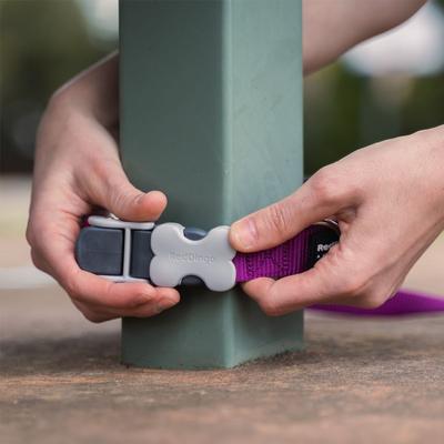 Show full view: Red Dingo SuperLead Hands Free Adjustable Dog Leash, Blue, Small, 3.6 to 6-ft slide 5 of 11