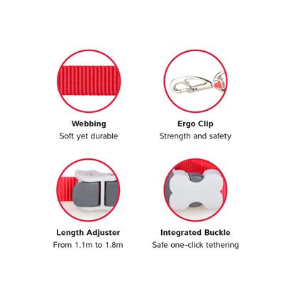 Show full view: Red Dingo SuperLead Hands Free Adjustable Dog Leash, Grey, Small, 3.6 to 6-ft slide 6 of 11