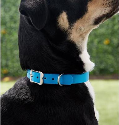 Show full view: Red Dingo Vivid PVC Dog Collar, Blue, Medium: 13 to 16.5-in neck, 4/5-in wide slide 3 of 10