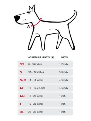 Show full view: Red Dingo Vivid PVC Dog Collar, Blue, Medium: 13 to 16.5-in neck, 4/5-in wide slide 7 of 10