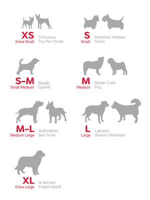 Show full view: Red Dingo Vivid PVC Dog Collar, Hot Pink, Large: 16 to 20-in neck, 1-in wide slide 5 of 8