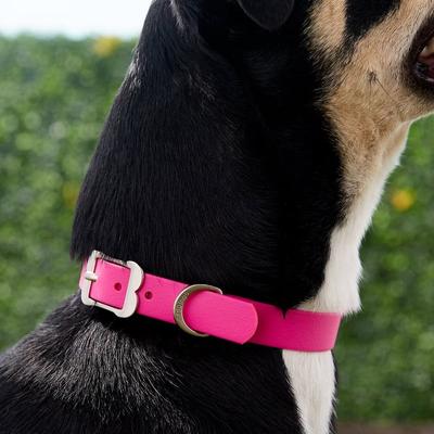 Show full view: Red Dingo Vivid PVC Dog Collar, Hot Pink, Medium: 13 to 16.5-in neck, 4/5-in wide slide 2 of 8