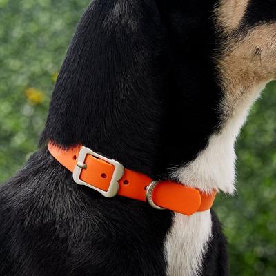 Show full view: Red Dingo Vivid PVC Dog Collar, Orange, Medium: 13 to 16.5-in neck, 4/5-in wide slide 2 of 8