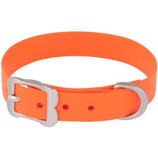 Red Dingo Vivid PVC Dog Collar, Orange, XX-Small: 8 to 10-in neck, 1/2-in wide slide 1 of 6
