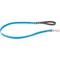 Show in main carousel: Red Dingo Vivid PVC Dog Leash, Blue, Large: 4-ft long, 1-in wide slide 1 of 6