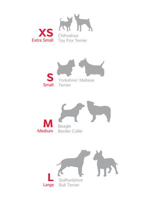 Show full view: Red Dingo Vivid PVC Dog Leash, Blue, Large: 4-ft long, 1-in wide slide 4 of 6