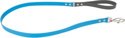 Red Dingo Vivid PVC Dog Leash, Blue, X-Small: 4-ft long, 1/2-in wide