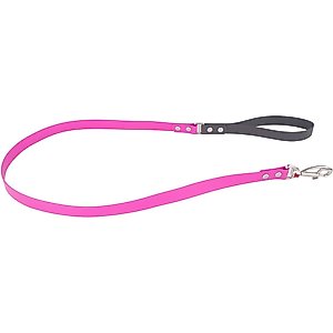Red Dingo Vivid PVC Dog Leash, Hot Pink, Large: 4-ft long, 1-in wide