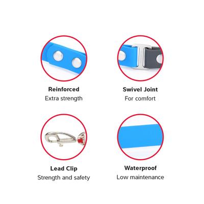 Show full view: Red Dingo Vivid PVC Dog Leash, Hot Pink, Large: 4-ft long, 1-in wide slide 2 of 6