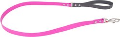 Red Dingo Vivid PVC Dog Leash, Hot Pink, Medium: 4-ft long, 4/5-in wide