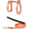 Show in main carousel: Red Dingo Ziggy Nylon Reflective Cat Harness & Leash, 10.6 to 18.9-in chest, Orange slide 1 of 5