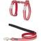 Show in main carousel: Red Dingo Ziggy Nylon Reflective Cat Harness & Leash, 10.6 to 18.9-in chest, Red slide 1 of 5
