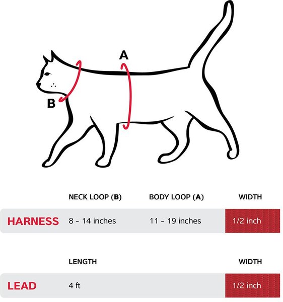 Show full view: Red Dingo Ziggy Nylon Reflective Cat Harness & Leash, 10.6 to 18.9-in chest, Red slide 4 of 4