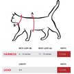 Show in main carousel: Red Dingo Ziggy Nylon Reflective Cat Harness & Leash, 10.6 to 18.9-in chest, Red slide 4 of 4