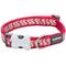 Show in main carousel: Red Dingo Ziggy Nylon Reflective Dog Collar, Zig Zag Red, Medium: 12.5 to 18.5-in neck, 4/5-in wide slide 1 of 10