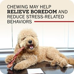Redbarn 7" Odor-Free Braided Bully Stick Dog Treat, 1 count slide 2 of 9