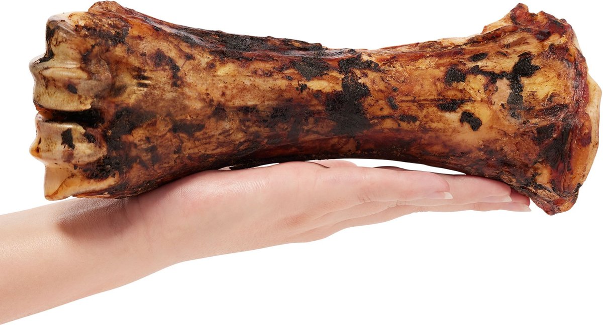 Redbarn Beef Shank Bone Dog Treat